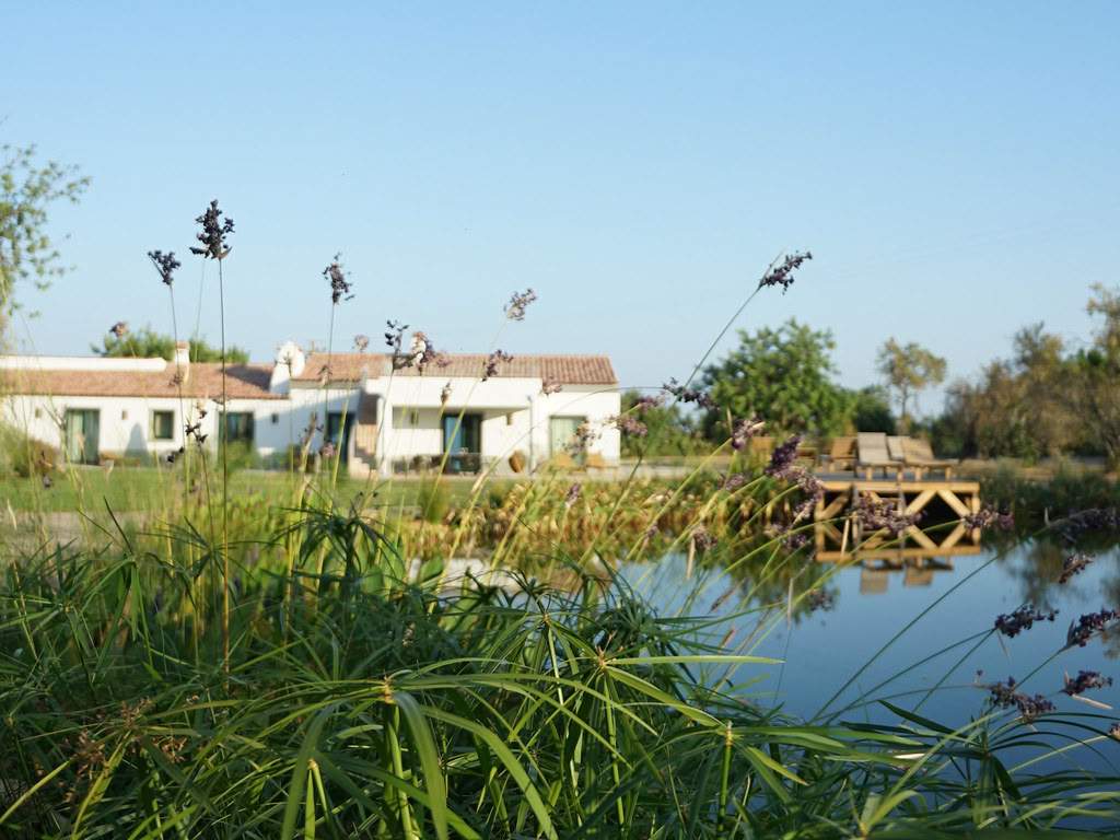 Trovare la tua luce interiore: ritiro in Algarve