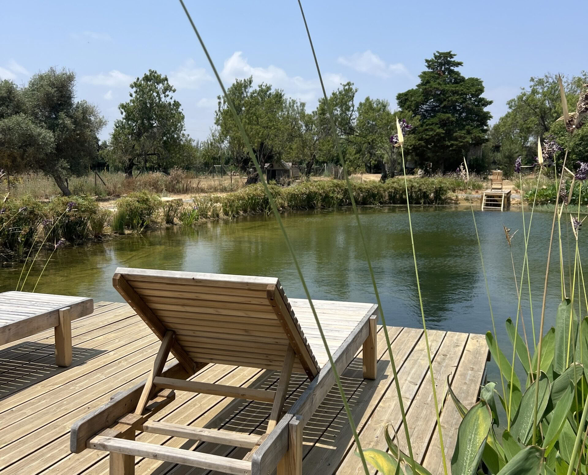 Trovare la tua luce interiore: ritiro in Algarve