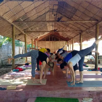 Corso di yoga zen di 21 giorni – Armonia di mente, corpo e spirito