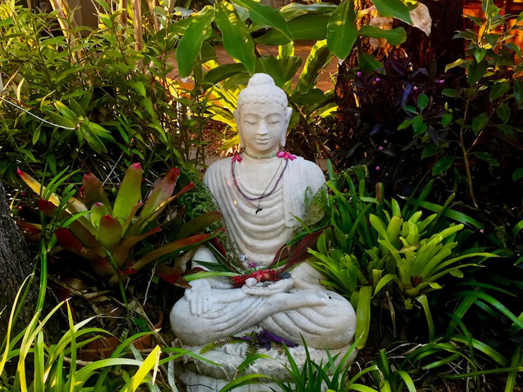 Ritiro di Yoga Radioso