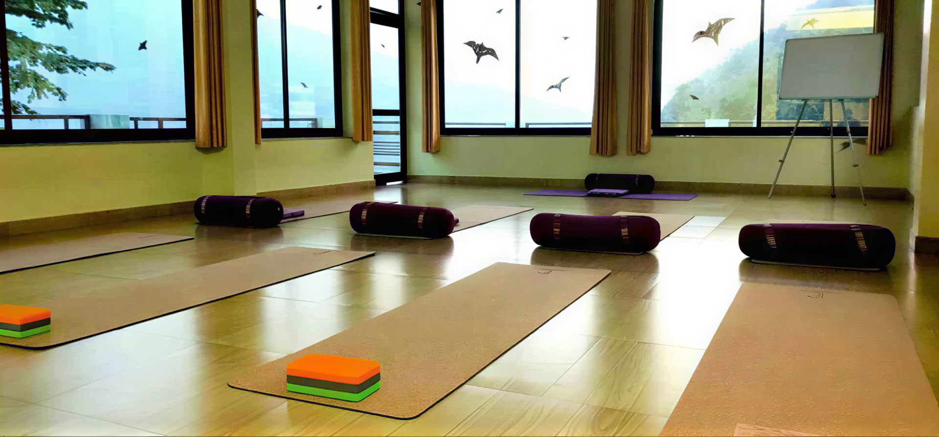 Ritiro di Ashtanga Yoga