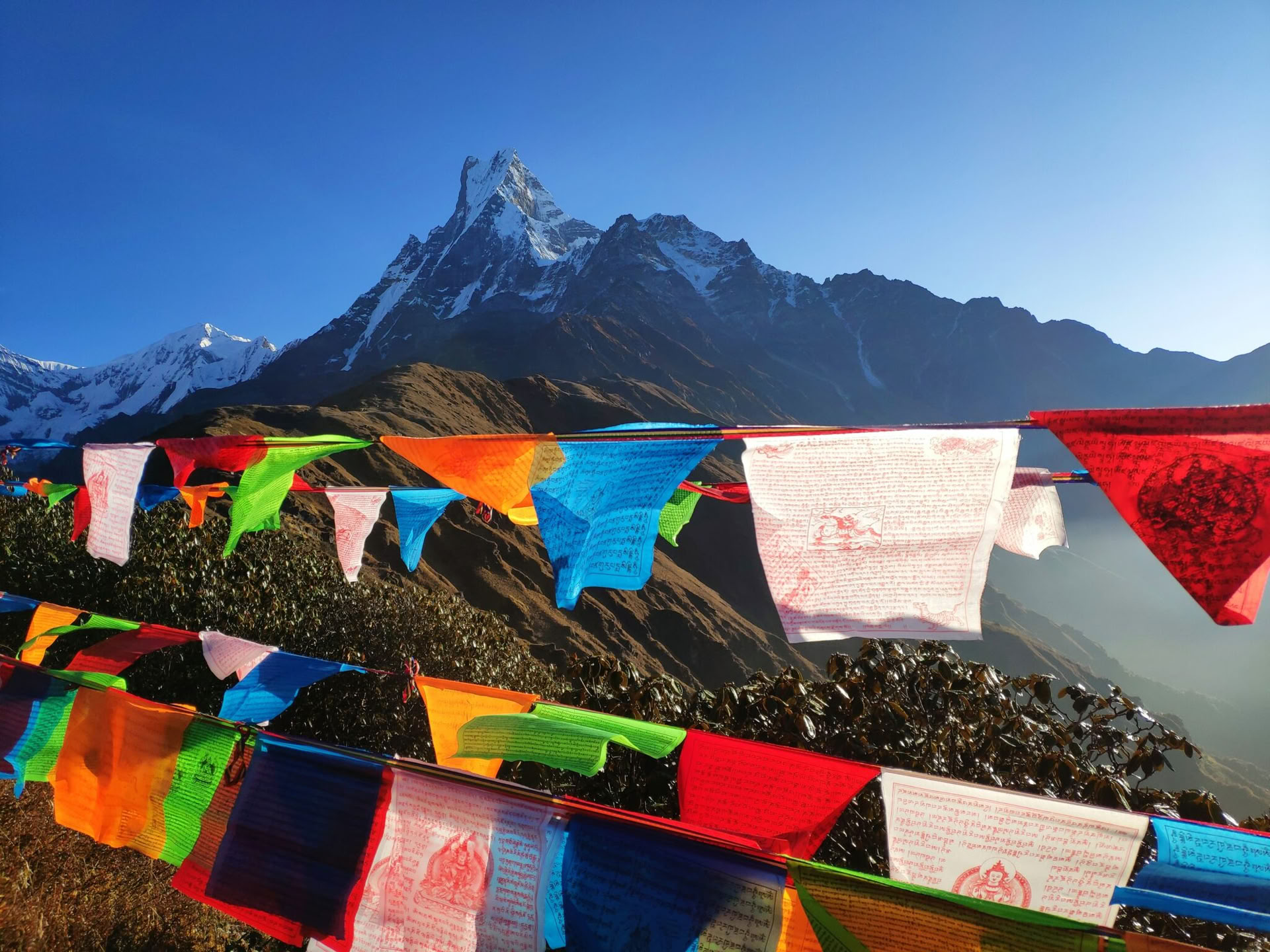 Formazione Insegnanti di Yoga di 200 Ore in India