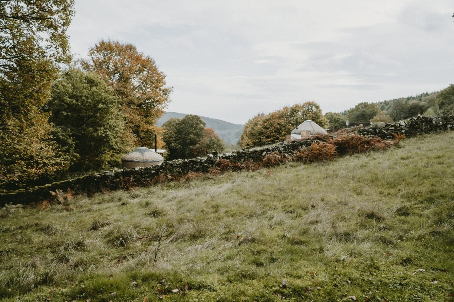 Ritiro di yoga e benessere autunnale