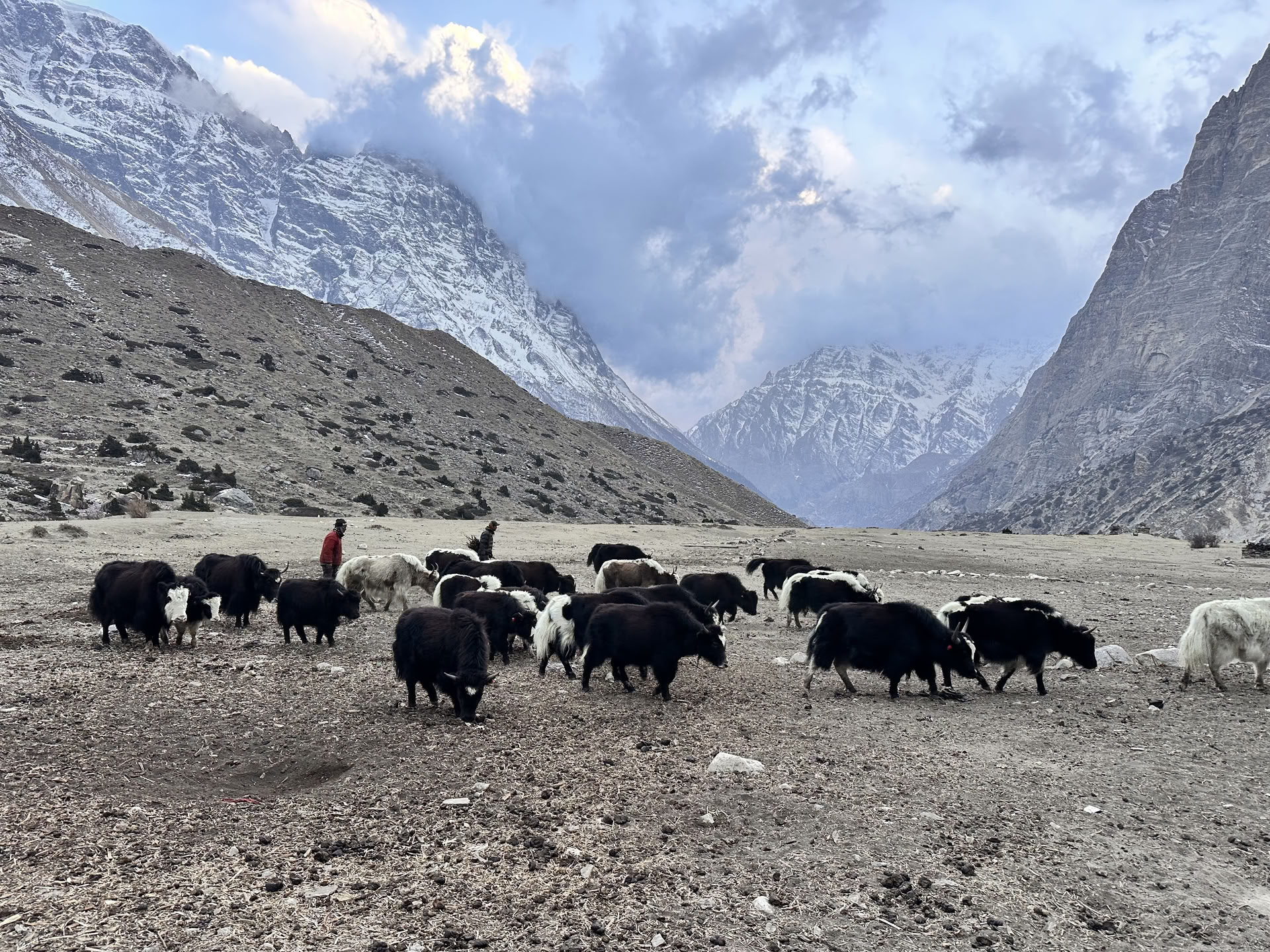 Trekking yoga sul circuito dell’Annapurna