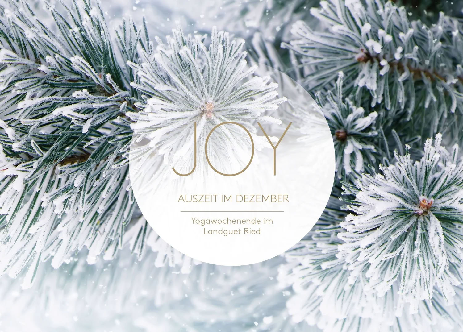Pausa Yoga a dicembre | con Joy Yoga — Landguet Ried, Centro per una Vita Consapevole | Centro Ritiri e Casa Seminari