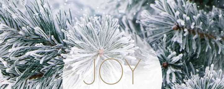 Pausa Yoga a dicembre | con Joy Yoga — Landguet Ried, Centro per una Vita Consapevole | Centro Ritiri e Casa Seminari
