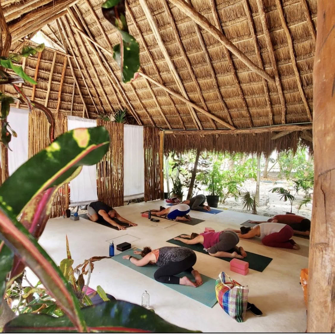 Ritiro di Yoga di 7 Giorni in Paradiso nella Riviera Maya