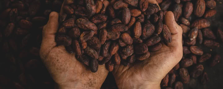 Cerimonia privata del cacao