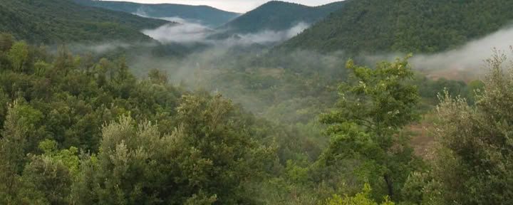 SANCTUARY