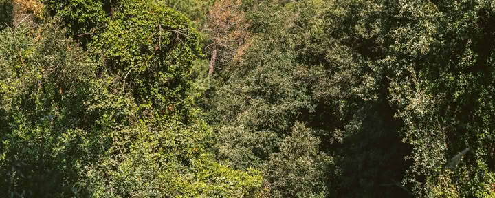 Alla scoperta del paesaggio a ogni passo