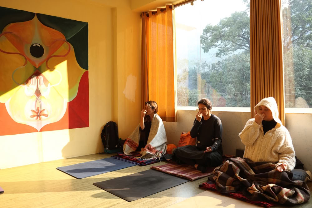 Corso di formazione insegnanti di yoga di 100 ore a Rishikesh, India