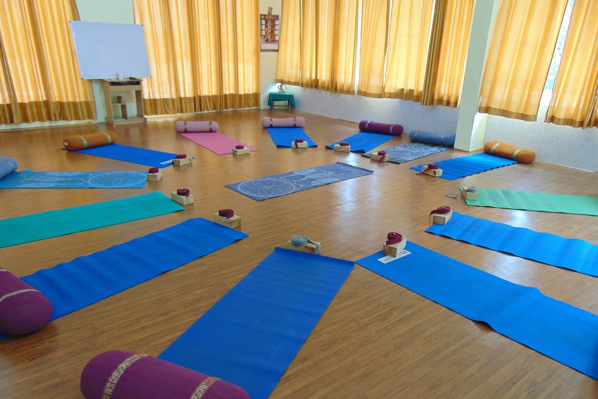 Corso di Yin Yoga di 6 giorni a Rishikesh