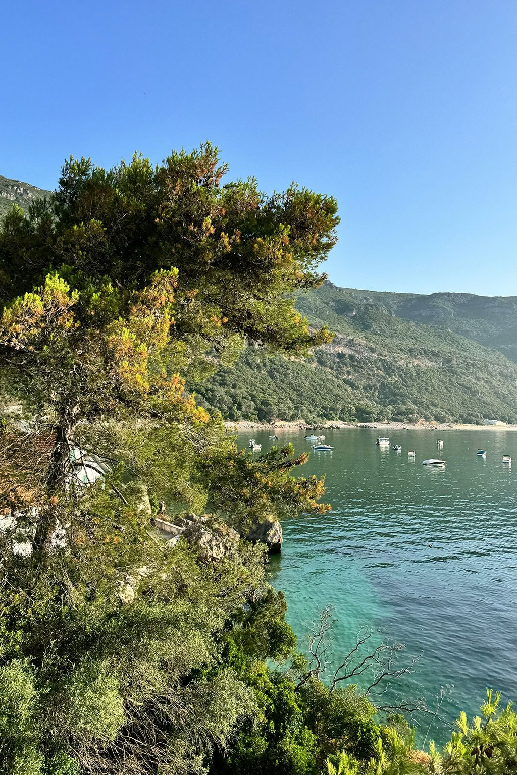 Il ritiro in Portogallo