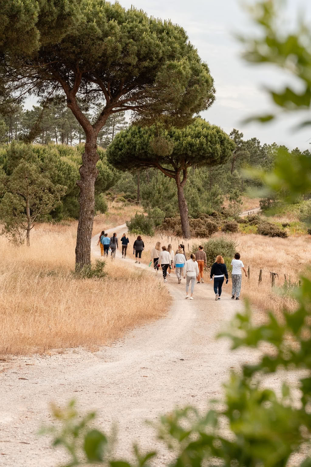 Elevare la Coscienza