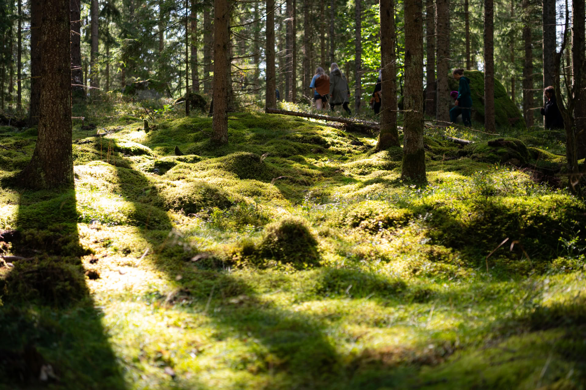 NOR: ritiro di yoga in Svezia