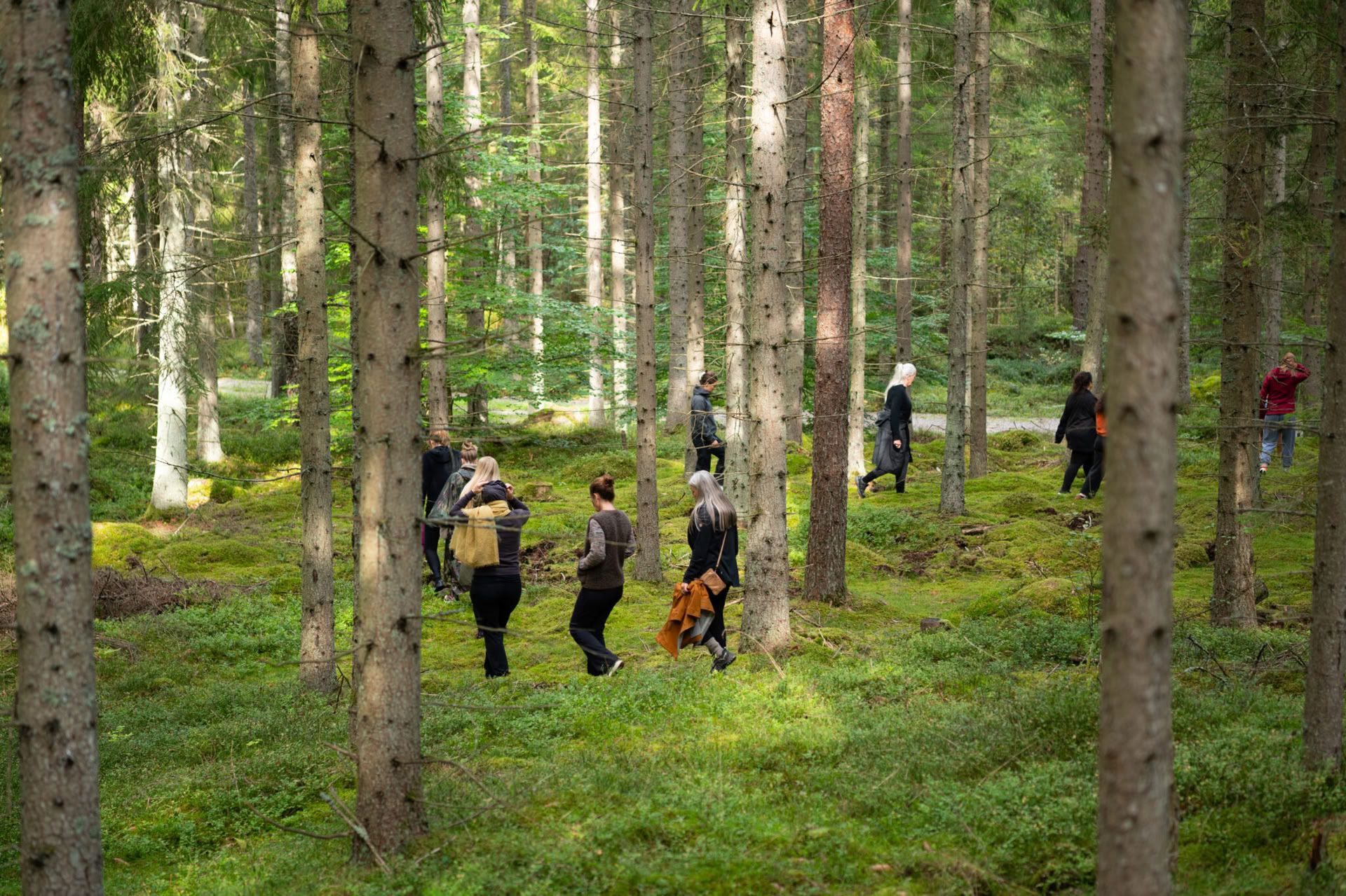 NOR: ritiro di yoga in Svezia