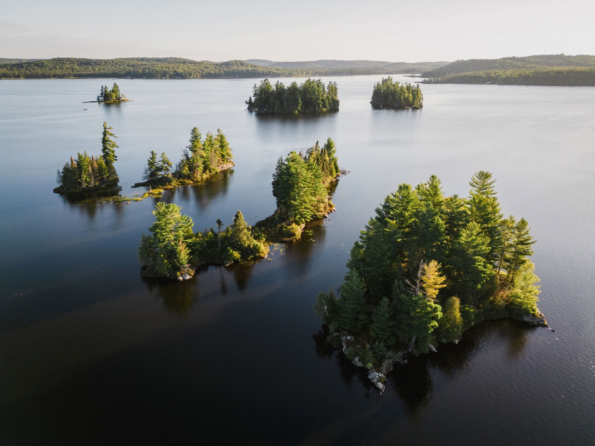 Rilasciati e Ricaricati: Ritiro Autunnale nell’Algonquin Park