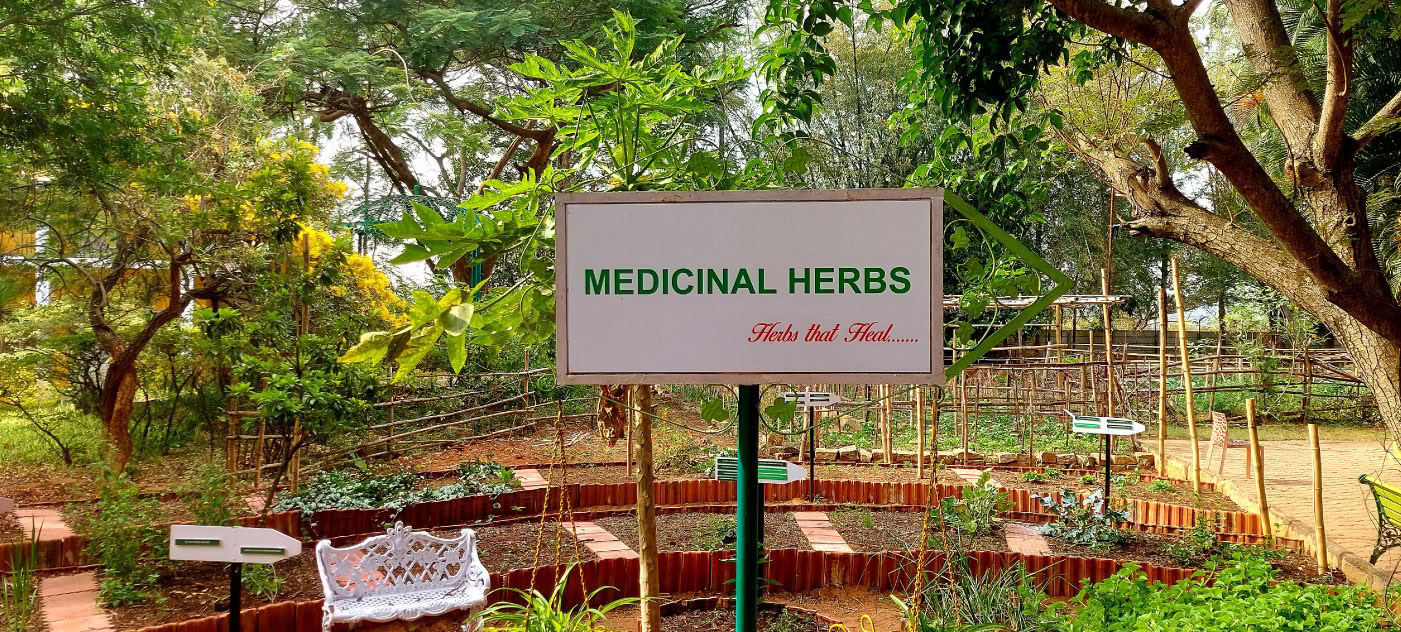 Tecniche di preparazione della medicina ayurvedica