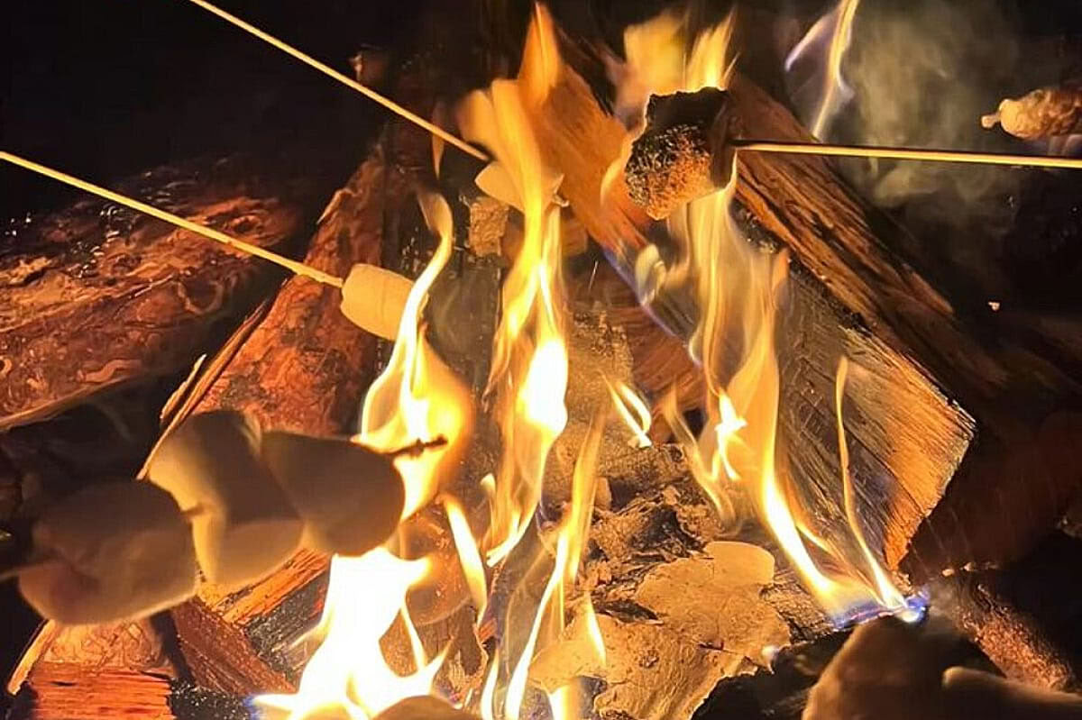 Ritiro glamping di 3 giorni per corpo e anima nelle Cotswolds, Regno Unito