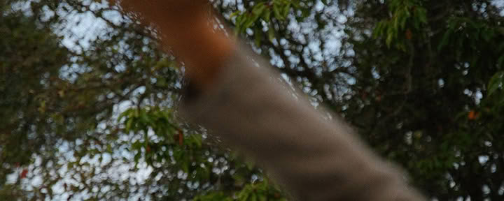 Ritiro di Yoga e Corso di Meditazione Soul 1