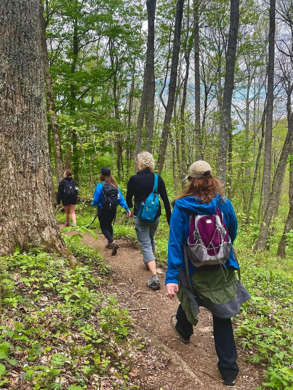 Natura e Beatitudine – Ritiro di Yoga in Carolina del Nord