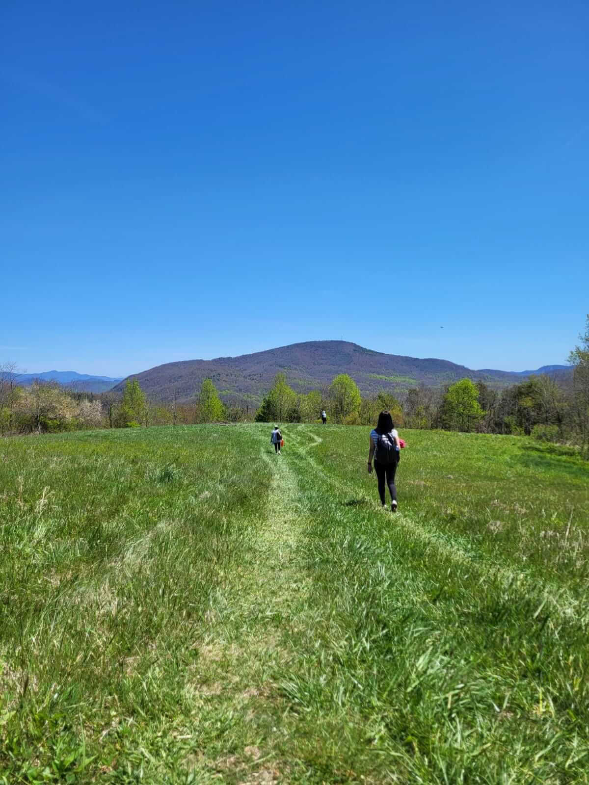 Natura e Beatitudine – Ritiro di Yoga in Carolina del Nord