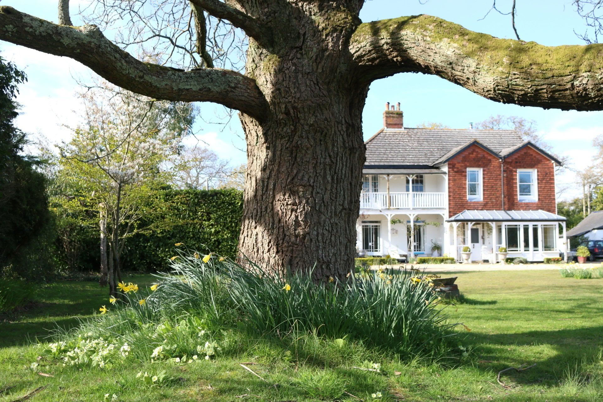 Ritiro di yoga, camminate e ceramica nel New Forest, Hampshire