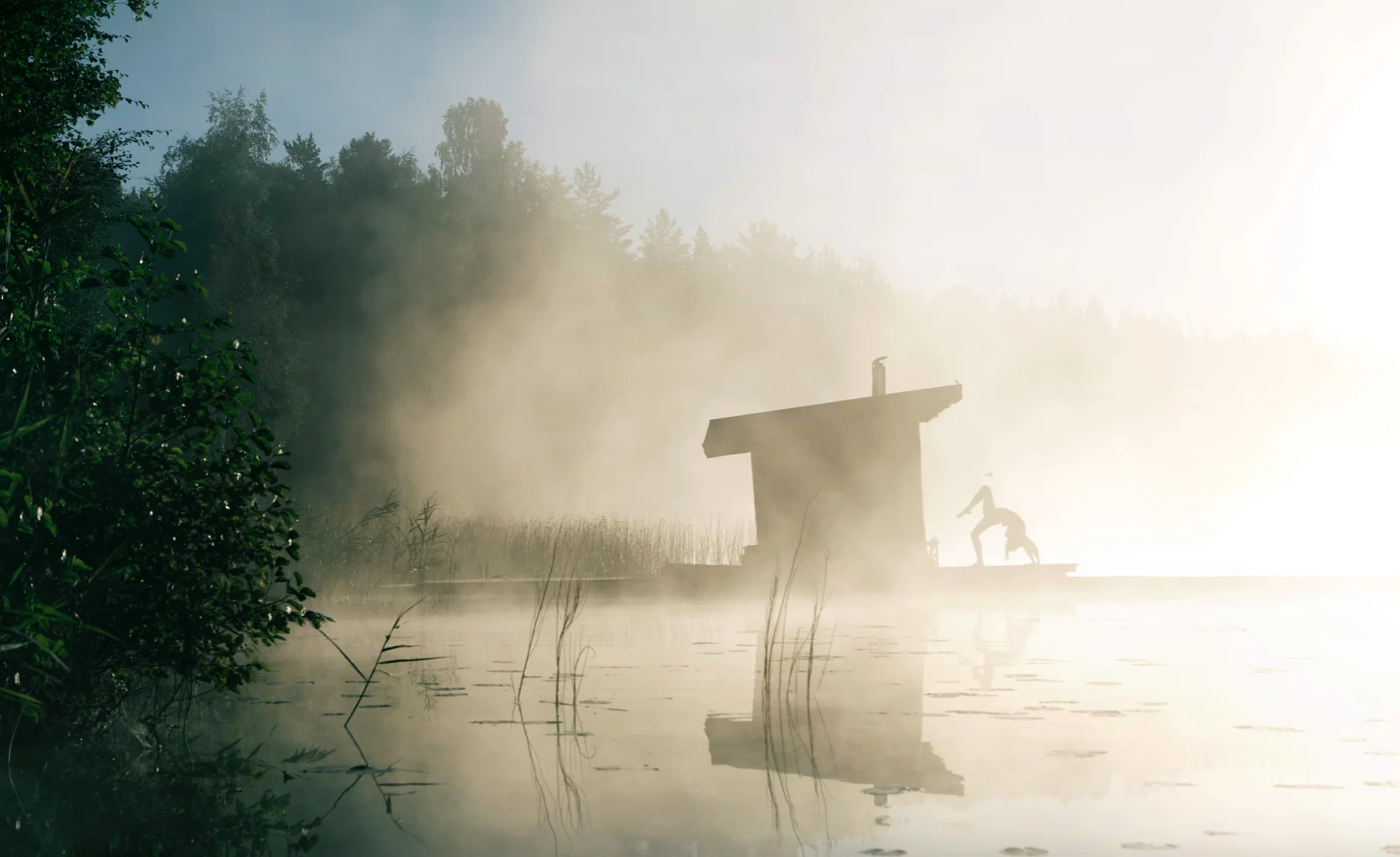 Ritiro di yoga nella natura selvaggia in Svezia: riposa e riconnettiti con la tua natura selvaggia nella foresta svedese