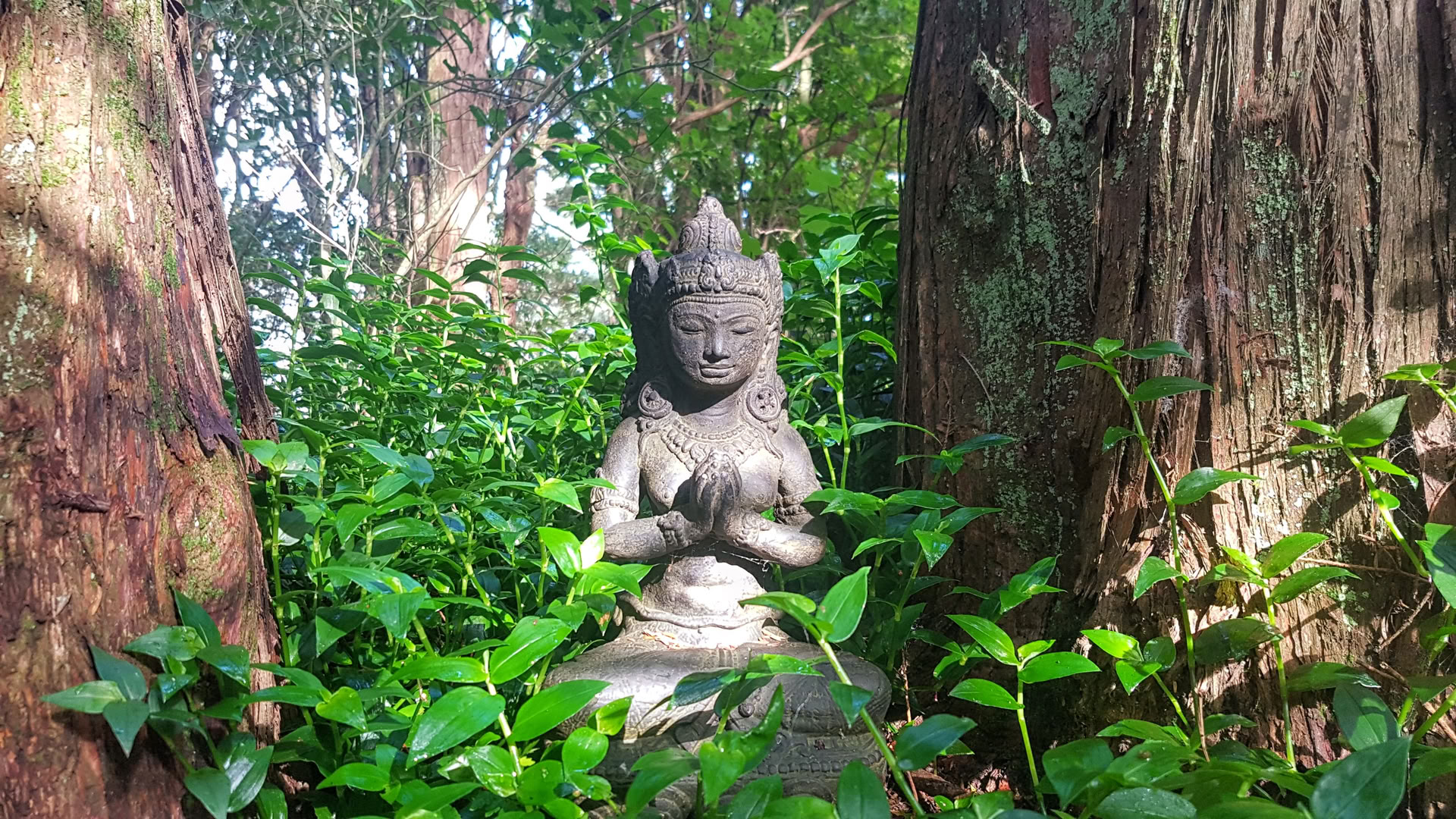 23-30 settembre Ritiro silenzioso con Radha di Heart Awakening