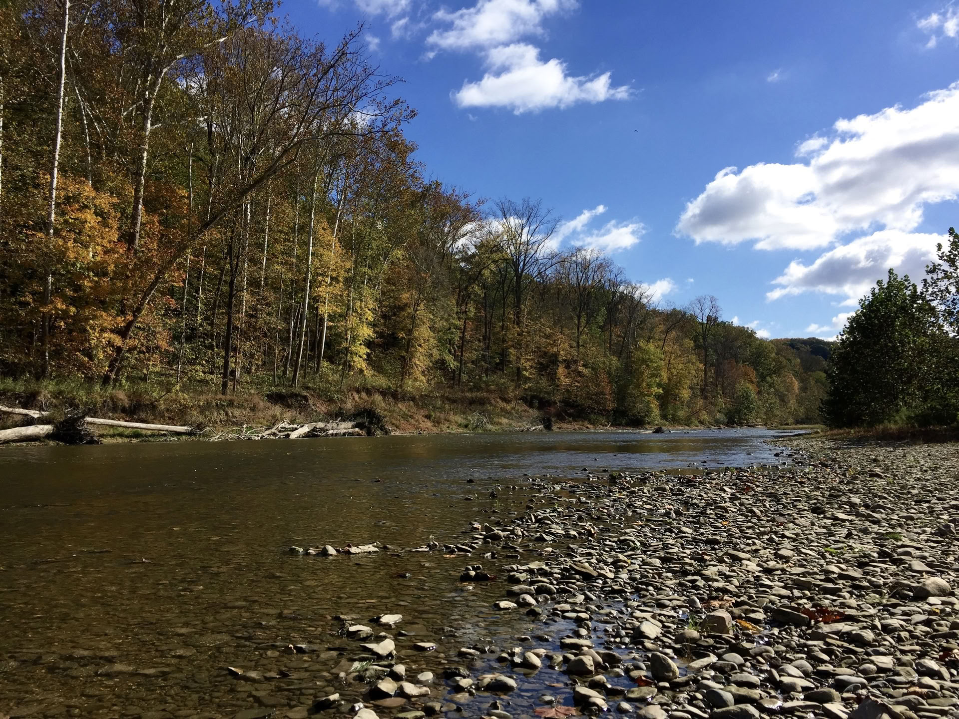 Equinozio d’autunno di yoga 2026 — Ritiro Sugar Creek