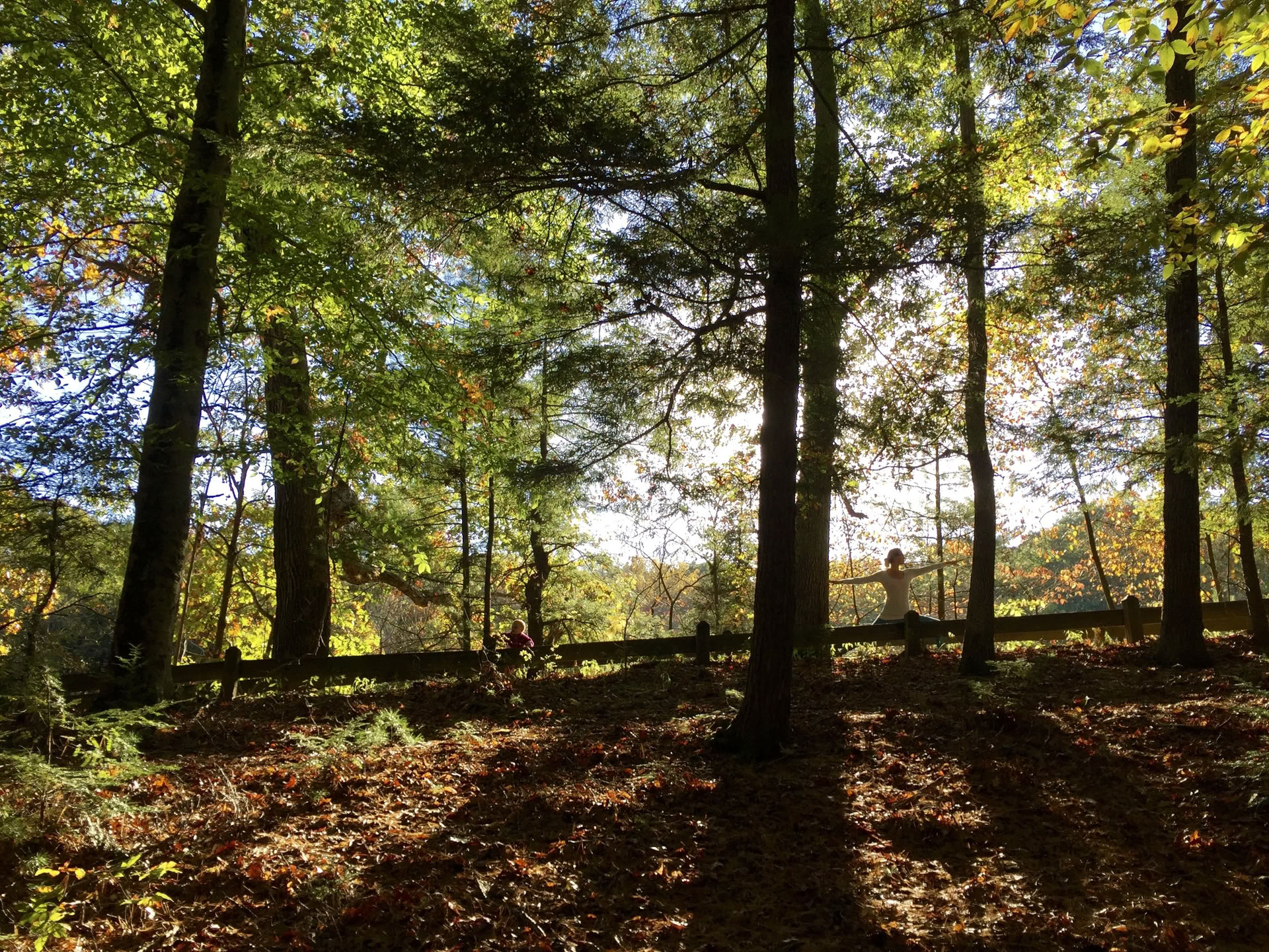 Yoga dell’Equinozio d’Autunno Alliom 2026