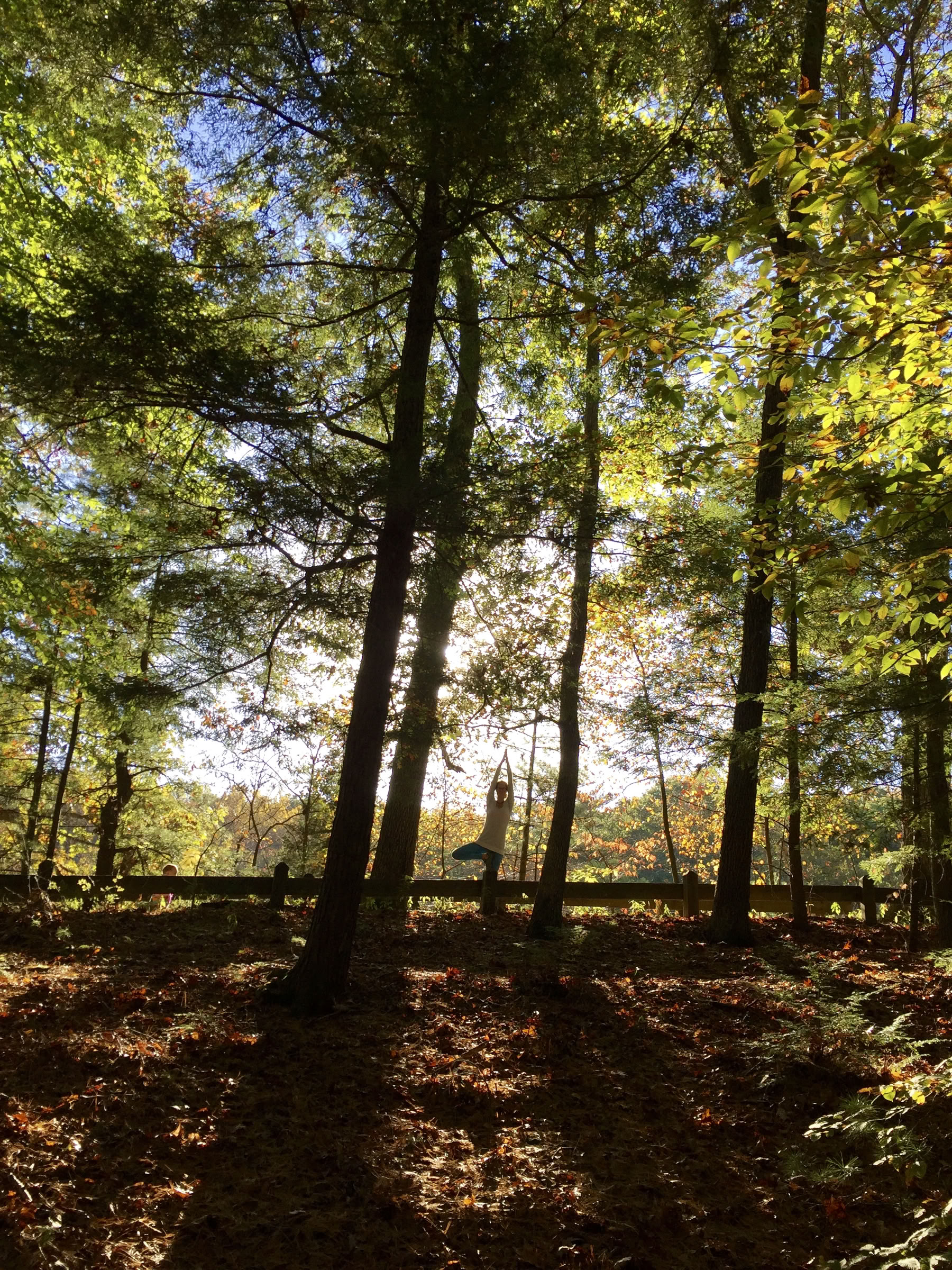 Yoga dell’Equinozio d’Autunno Alliom 2026