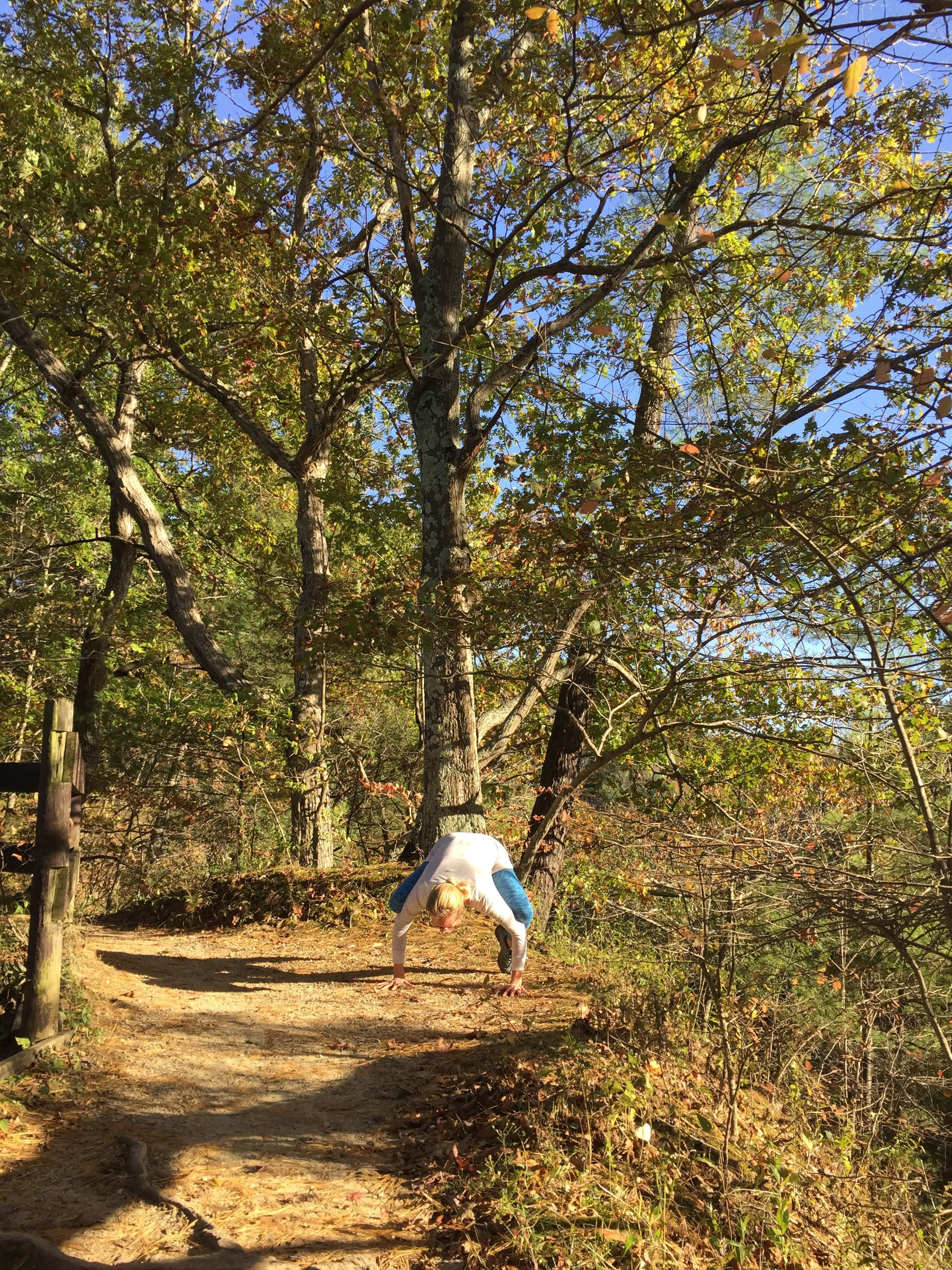 Yoga dell’Equinozio d’Autunno Alliom 2026