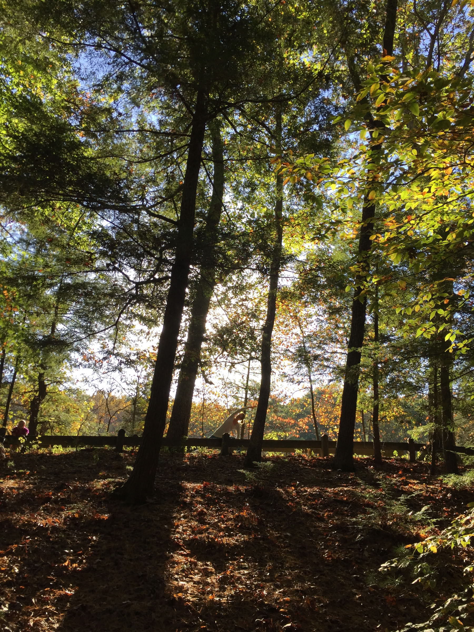 Yoga dell’Equinozio d’Autunno Alliom 2026