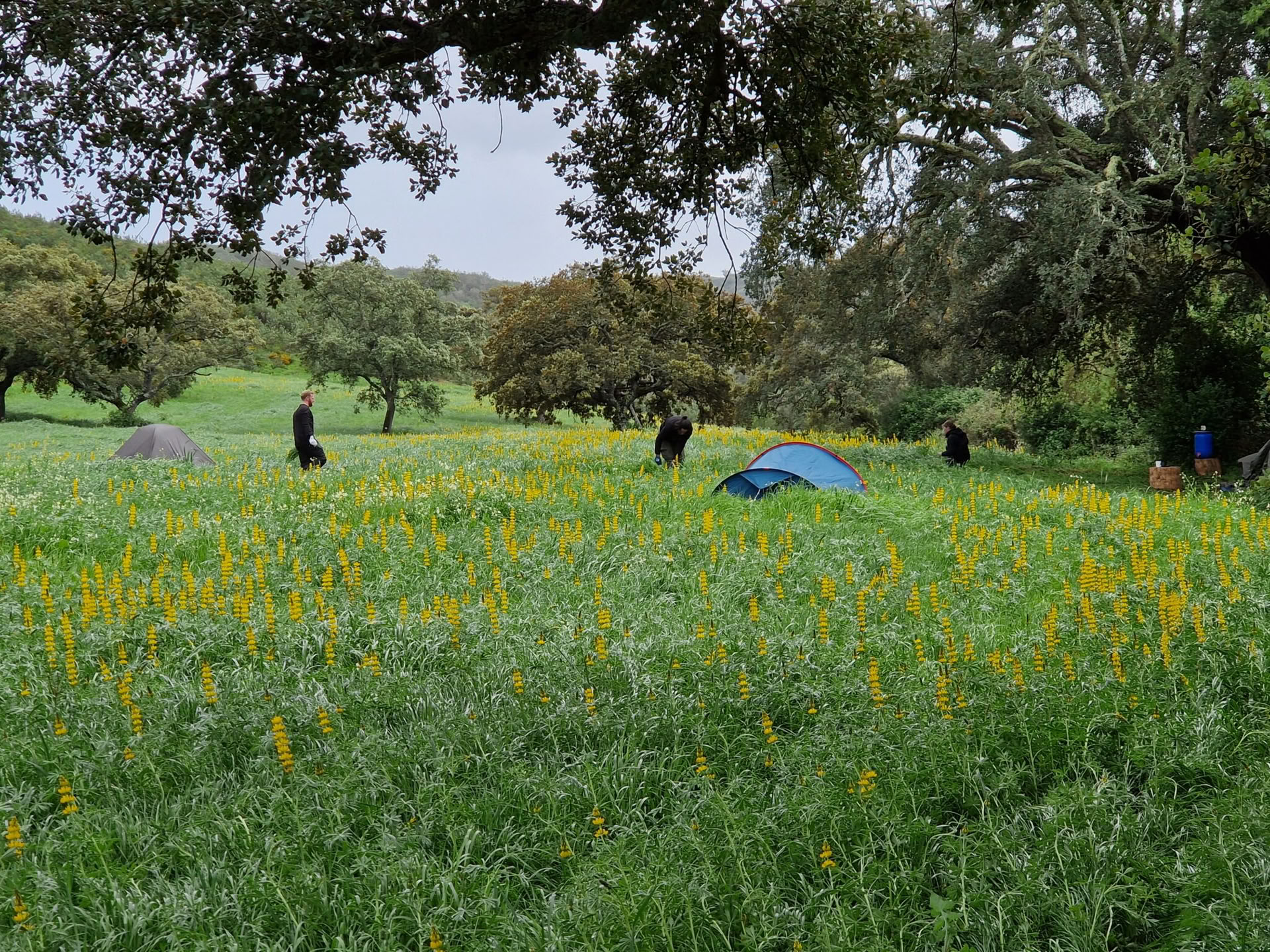 Corso di sopravvivenza del fine settimana
