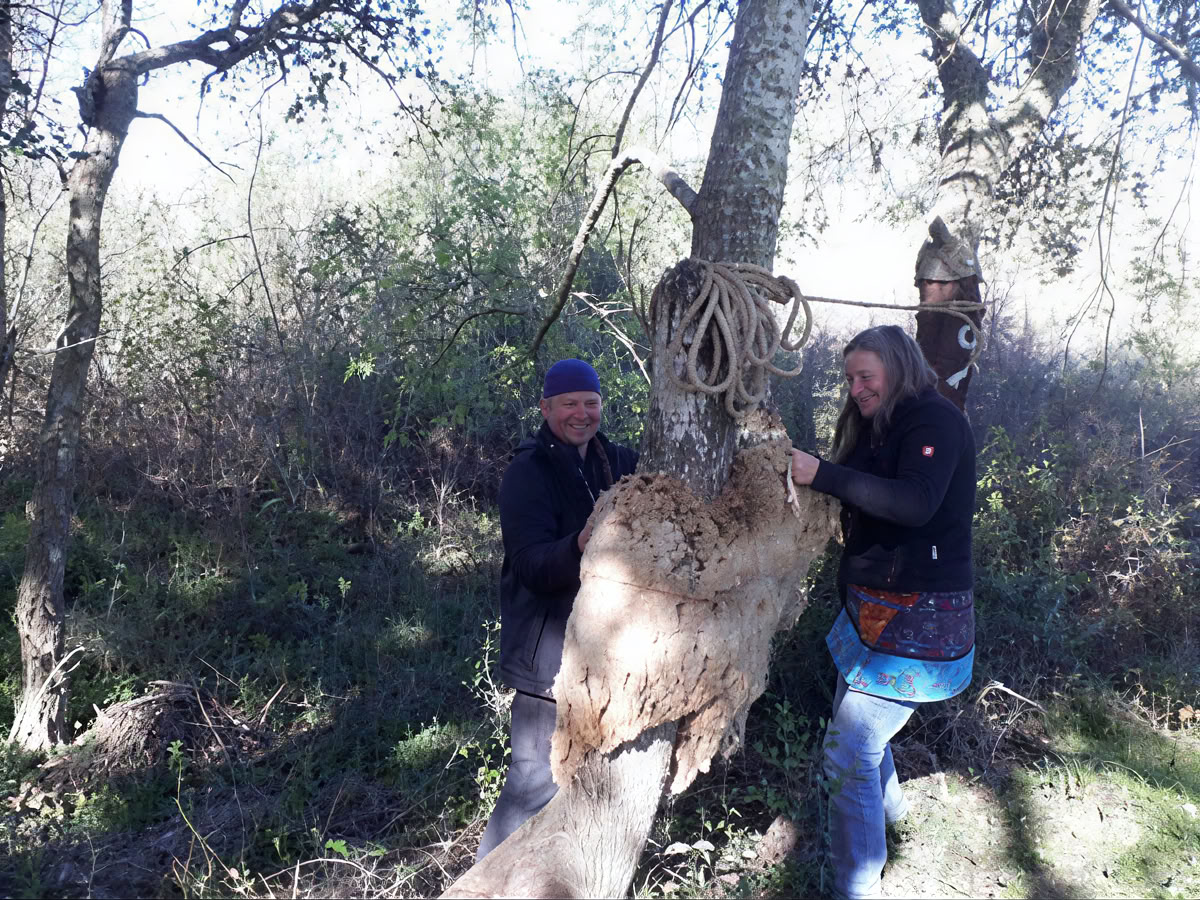 Sopravvivenza Essenziale nella Natura Selvaggia