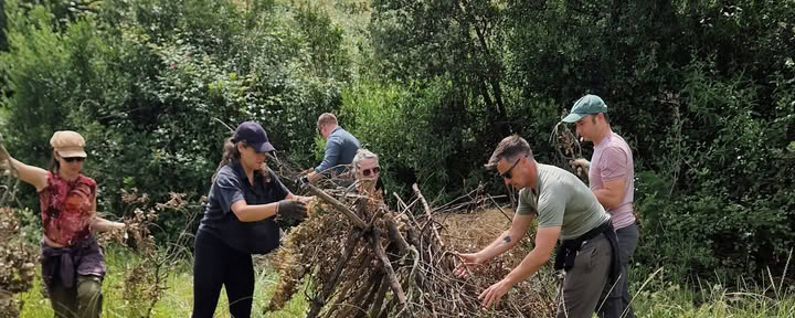 Sopravvivenza Essenziale nella Natura Selvaggia