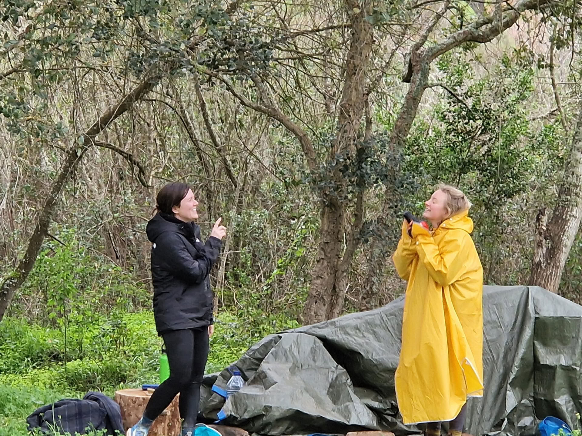Misticismo della Natura