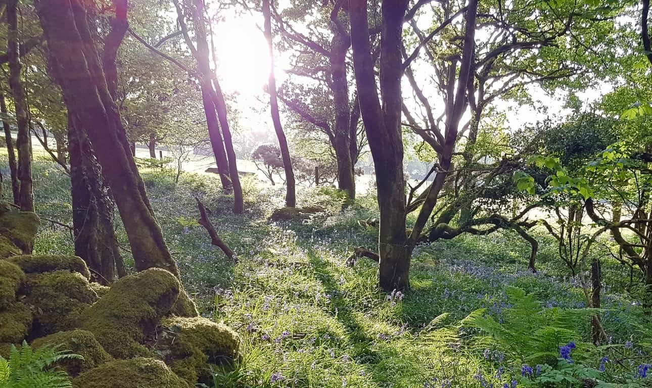Ritiri, giornate e corsi – Ritiro di quattro notti a Rosemerryn in Cornovaglia
