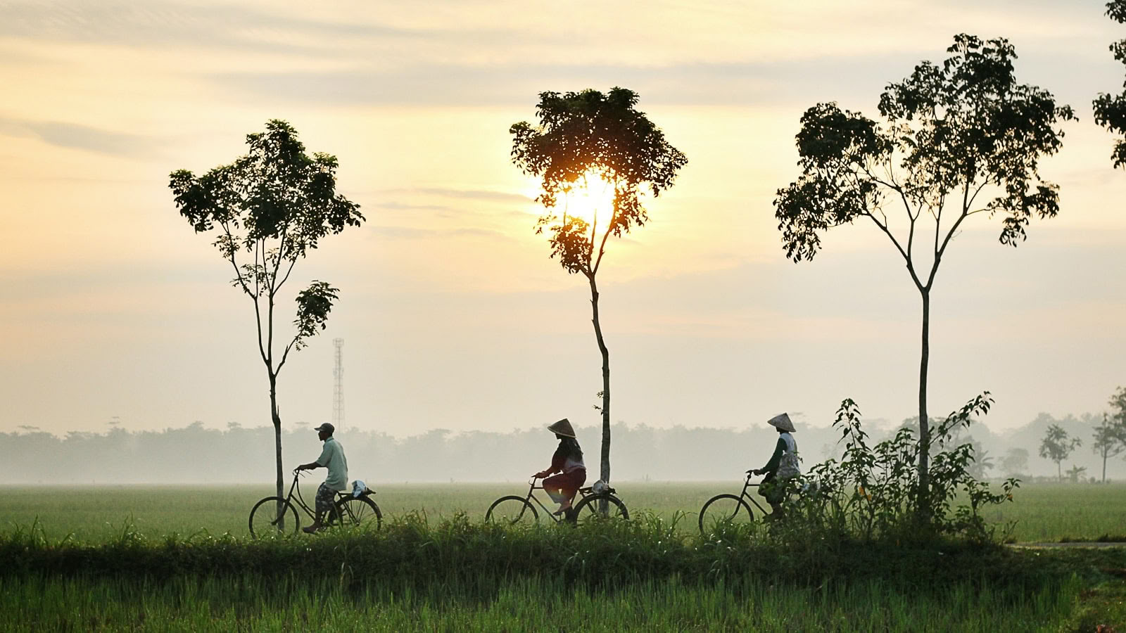 Ritiro di yoga arricchente ed escursioni in Vietnam 2026