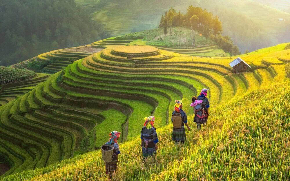 Ritiro di yoga arricchente ed escursioni in Vietnam 2026