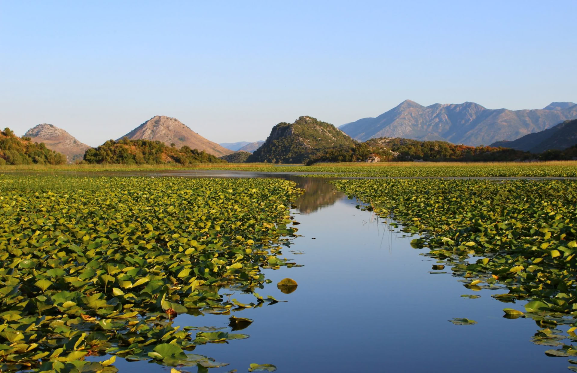 Vacanza di attività yoga di 7 giorni al Lago di Scutari, Montenegro