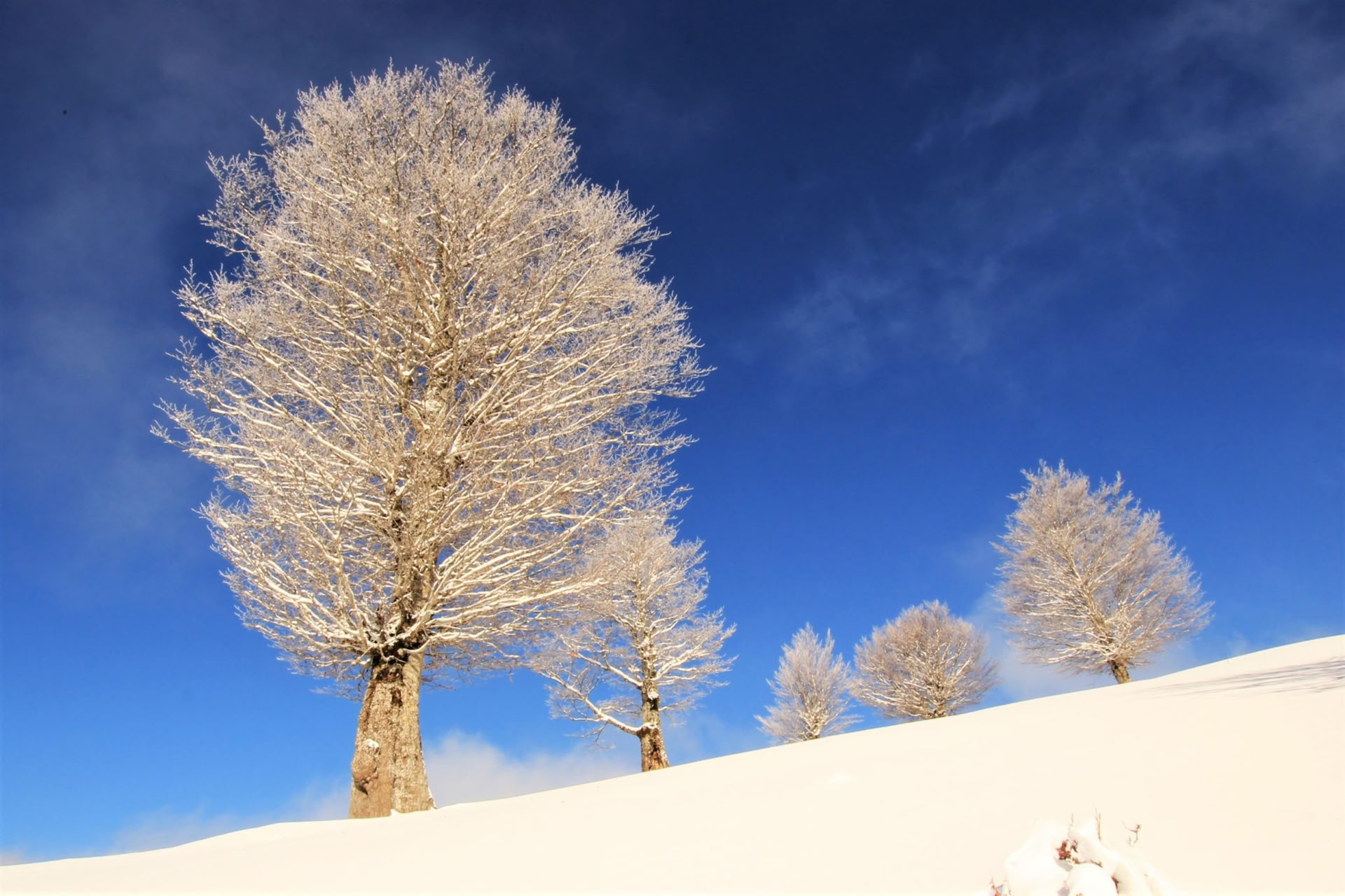 Vacanza di 7 Giorni con Attività Invernali in Montenegro