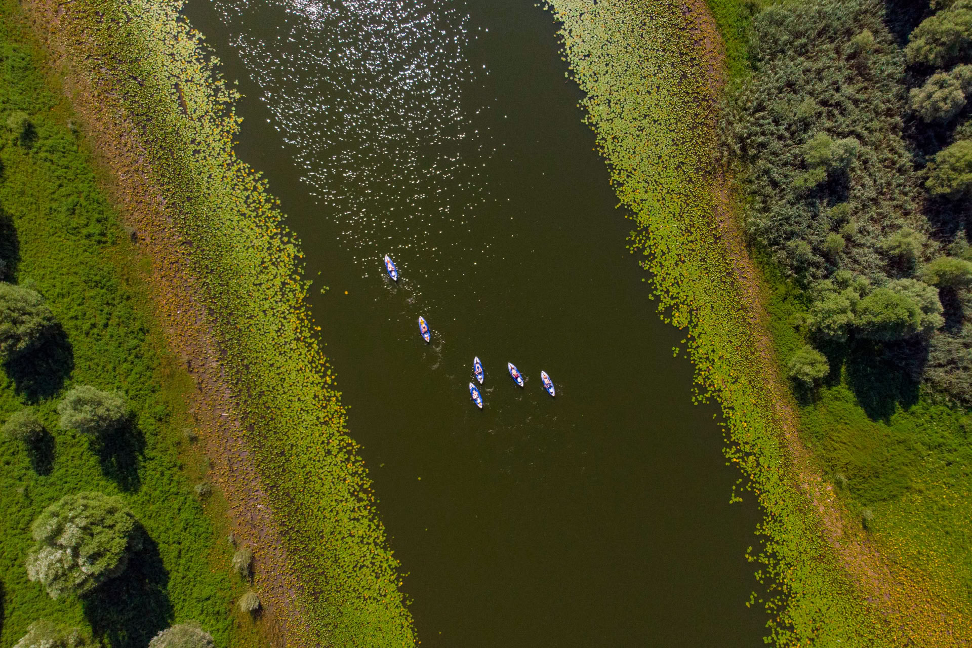 Vacanza in kayak di 7 giorni, Lago di Scutari