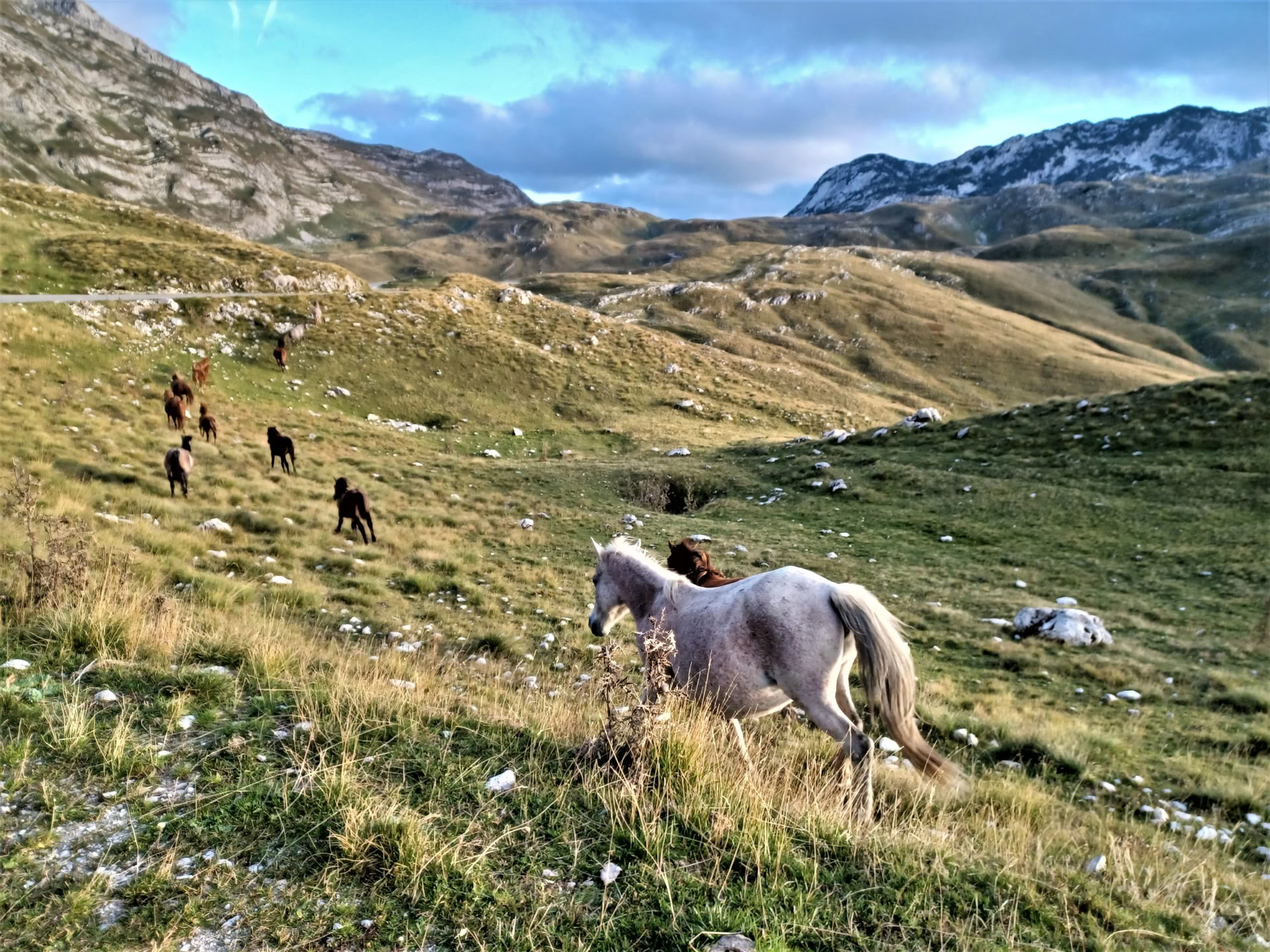 Vacanza di 7 giorni di escursioni in montagna in Montenegro