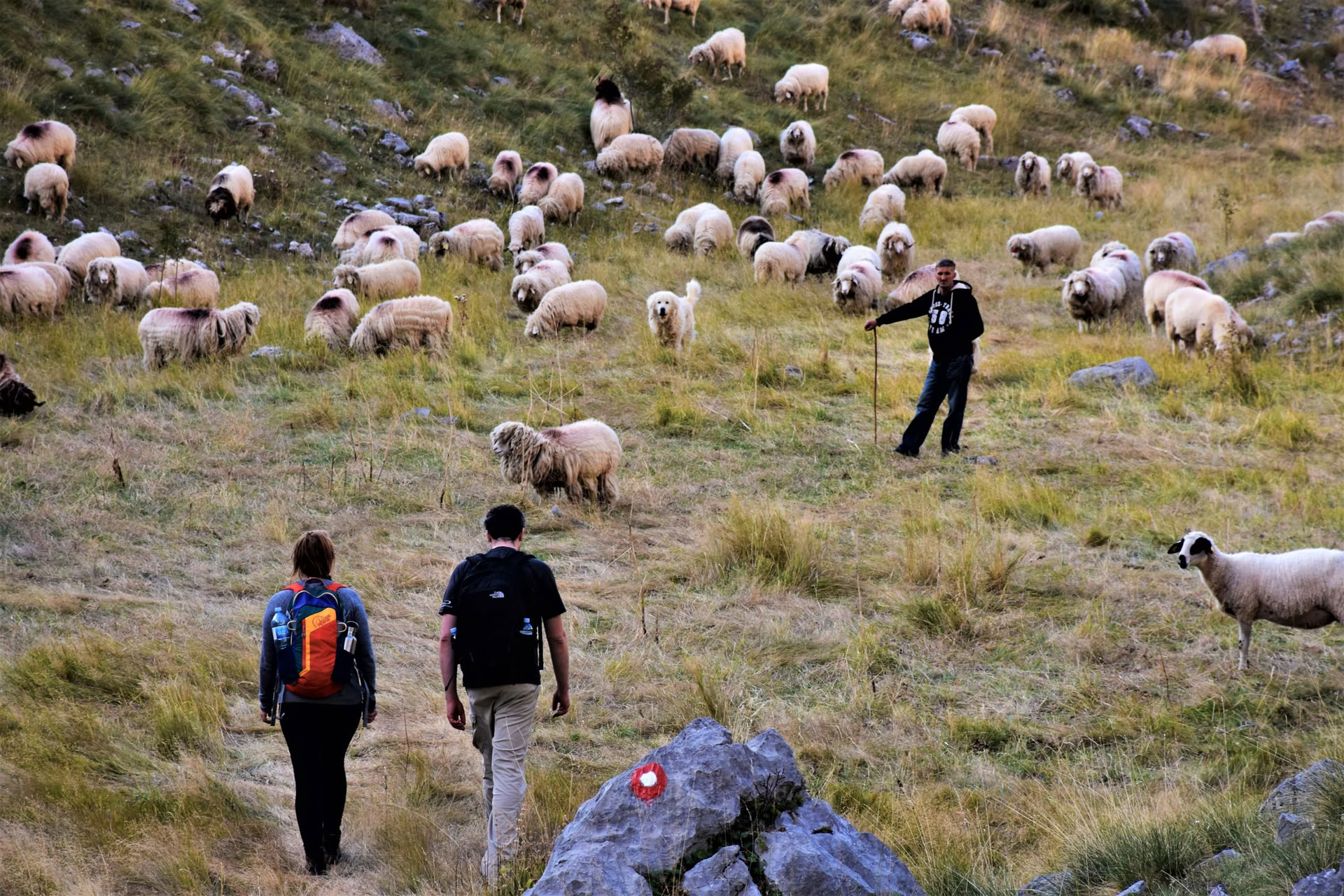 Vacanza di 7 giorni di escursioni in montagna in Montenegro