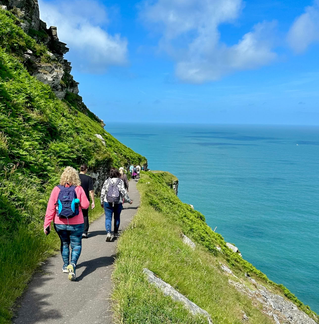 Ritiro di Yoga tra le Cime degli Alberi in Devon