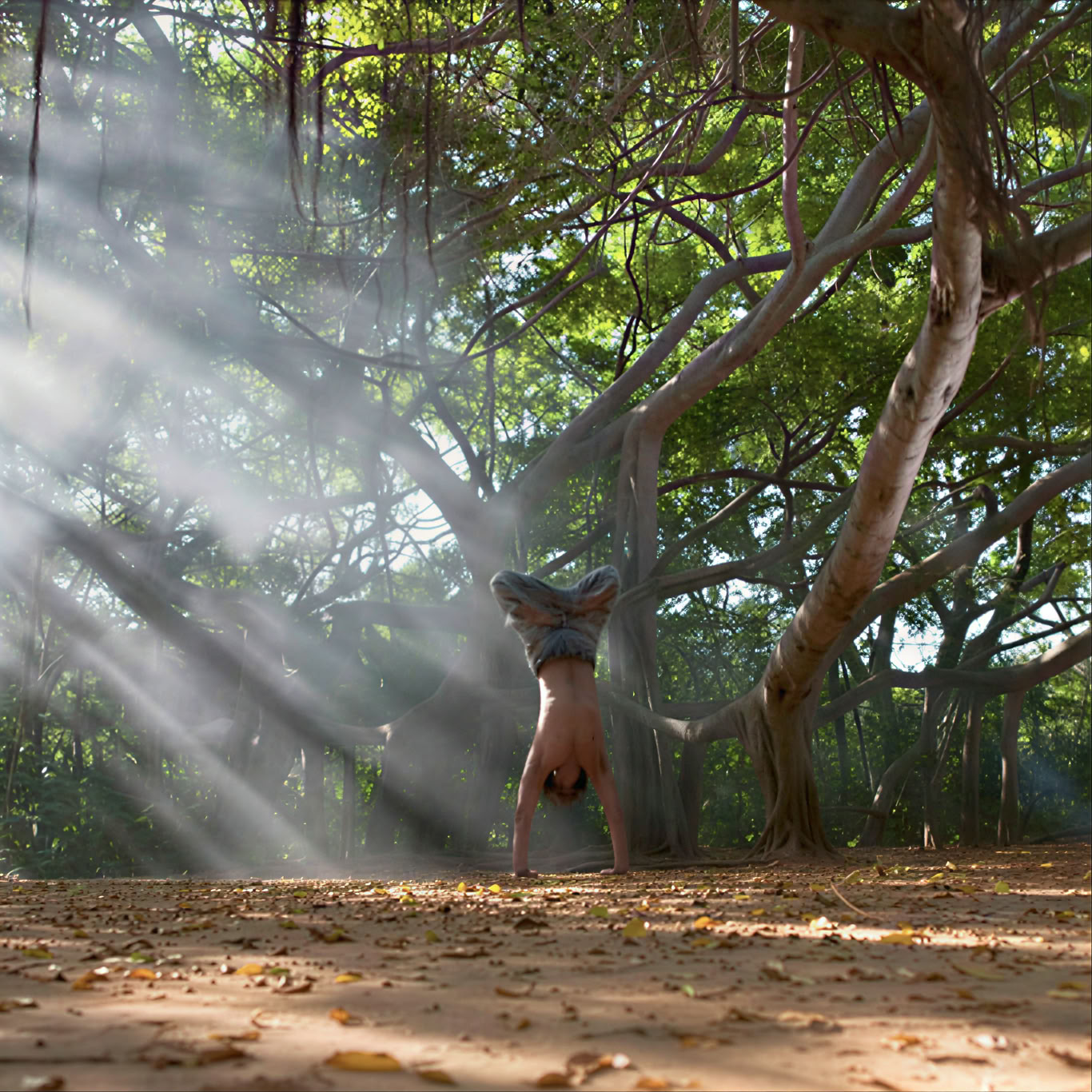 Mick Barnes - 8 arti dell’Hatha Yoga