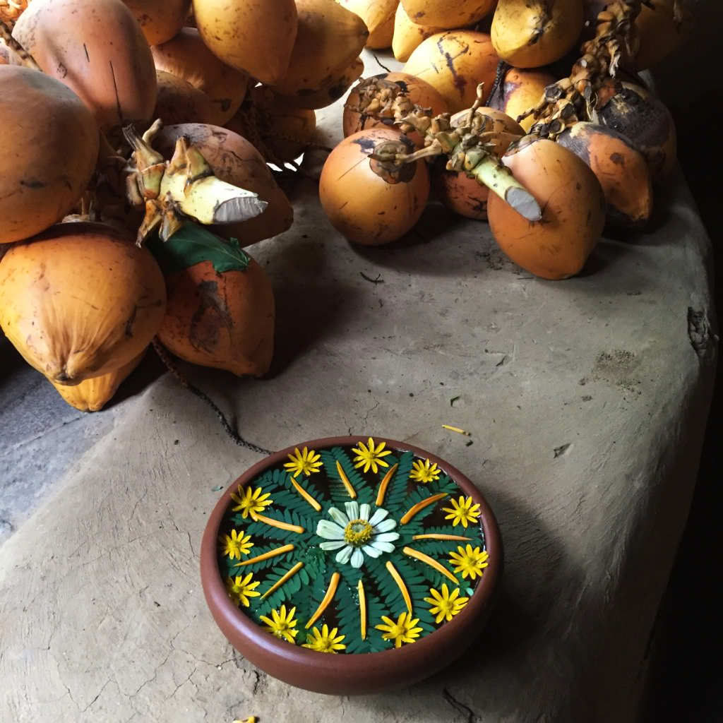 Natura Risvegliata