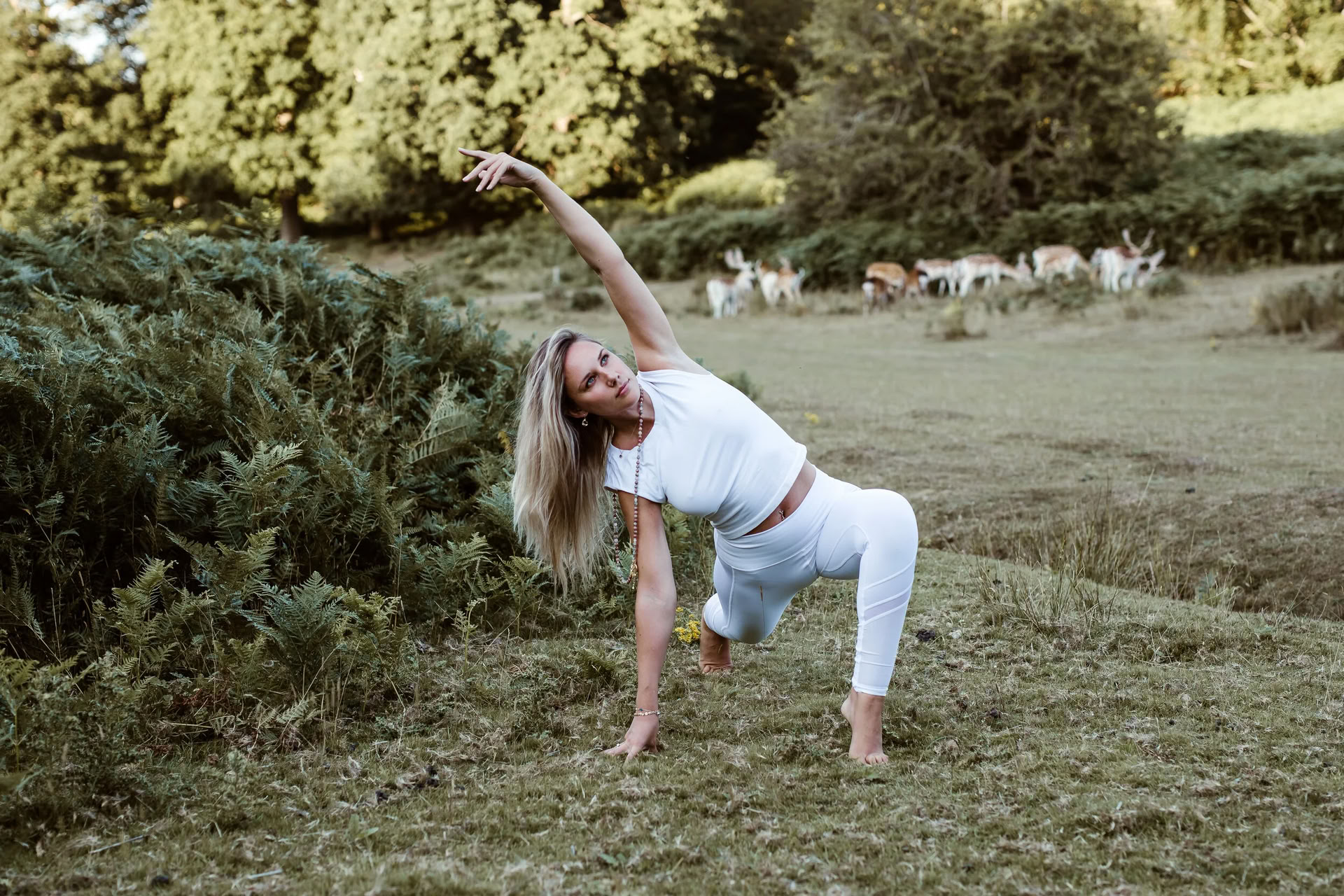 Vinyasa Flow + Yin Yoga (Tutti i livelli)